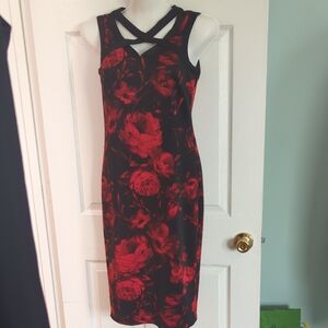 Enfocus Studio Red and Black Halter Sheath Dress